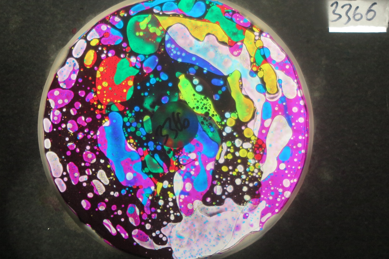 BV3366 bubble vision oil wheel